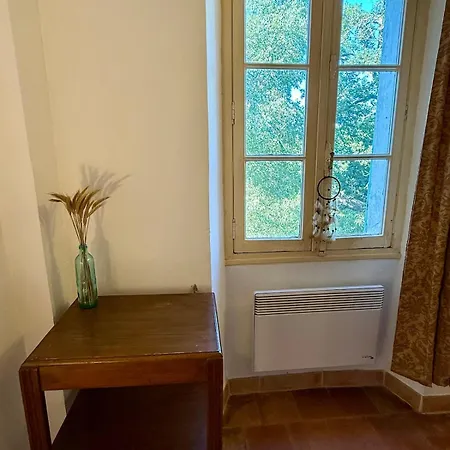 Citronnier Authentique Et Paisible