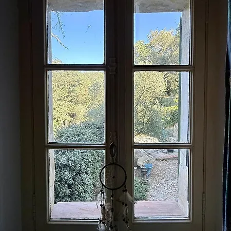 Apartman Citronnier Authentique Et Paisible
